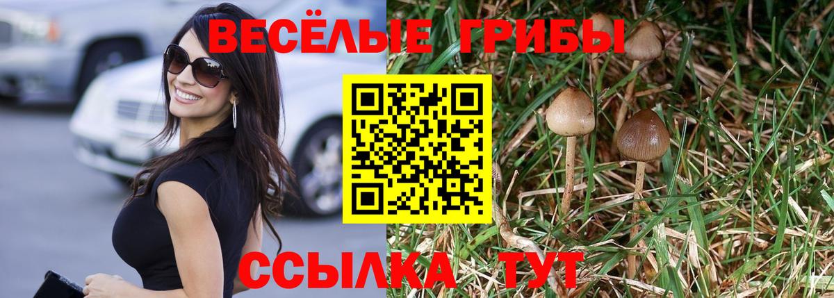 Галлюциногенные грибы Magic Shrooms  Галлюциногенные грибы GOLDEN TEACHER  Карпинск  Вход с VPN 
